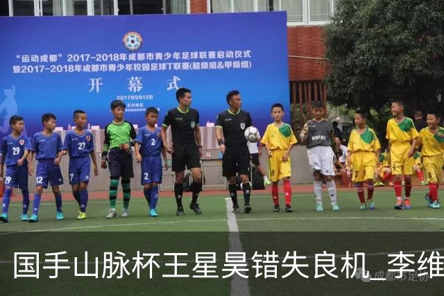 国手山脉杯王星昊错失良机 李维清三连胜将与申真谞争冠